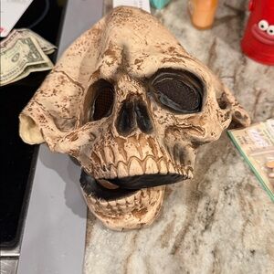 Realistic Skull Mask with Black Details